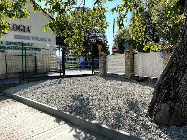 Usługi Ogrodnicze Choina Daniel - Ogrodnik