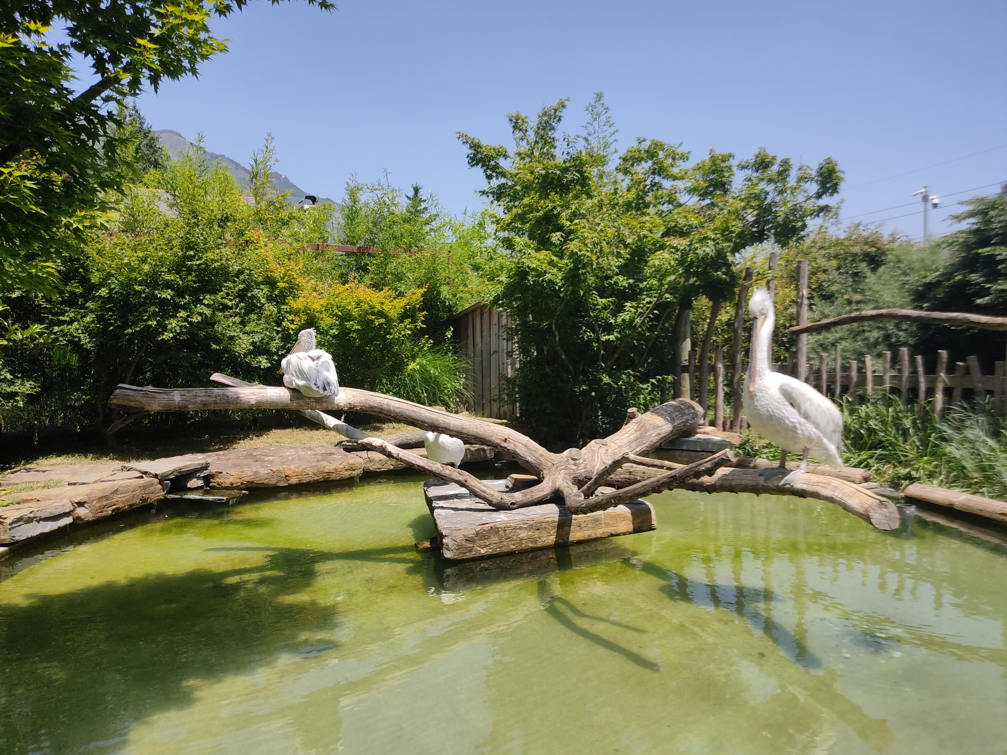 Photo n° 23 de l'avis de David.i fait le 18/11/2019 à 20:29