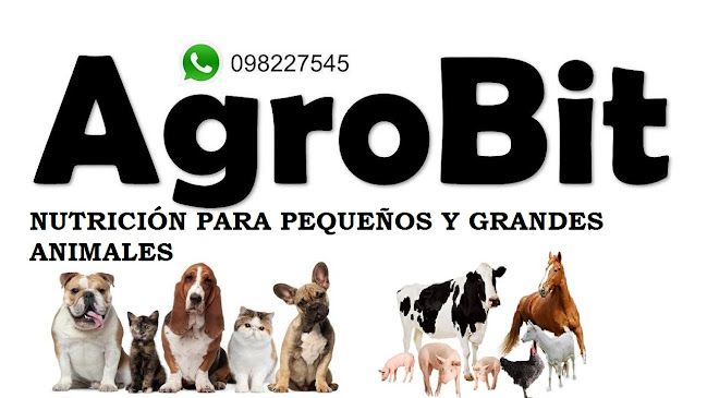 AgroBit - Rocha