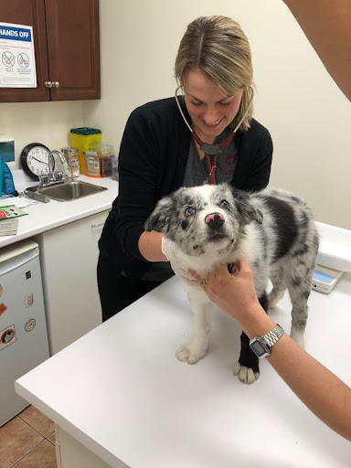 Acadia Veterinary Hospital image