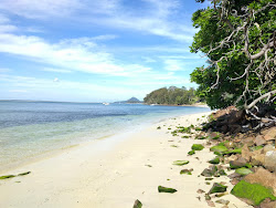 Photo de Dutchmans Beach et le règlement