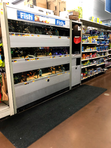 Department Store «Walmart Supercenter», reviews and photos, 1351 Veterans Pkwy, Clarksville, IN 47129, USA