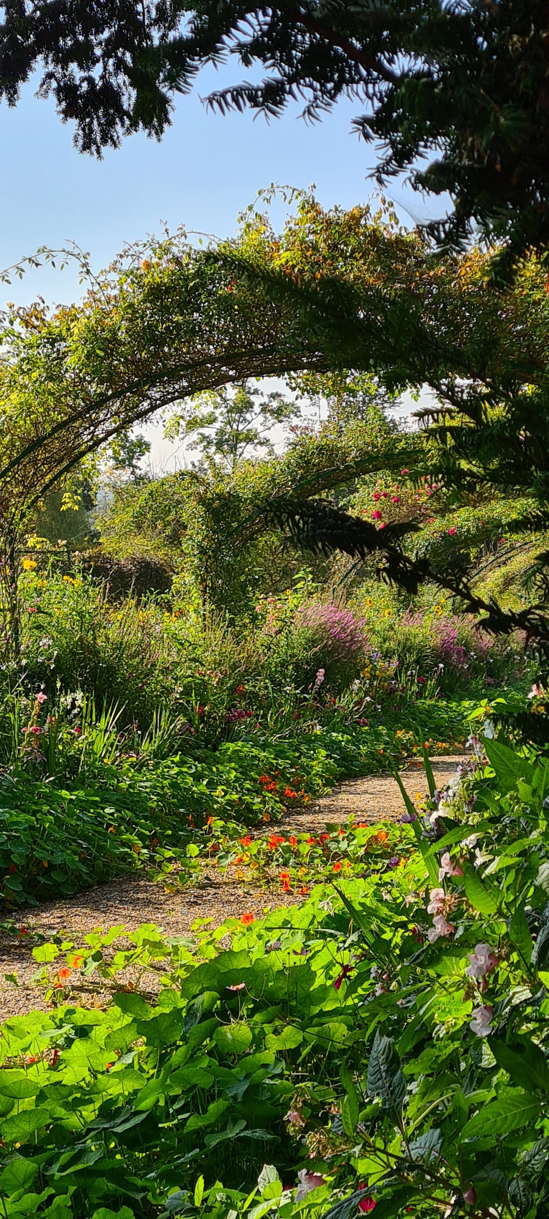 Photo n° 19 de l'avis de Gilles.o fait le 10/09/2021 à 06:37