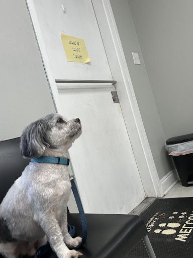 Lakeside Animal Hospital image