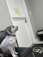 Lakeside Animal Hospital