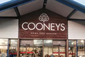 Cooney's Home Interiors image
