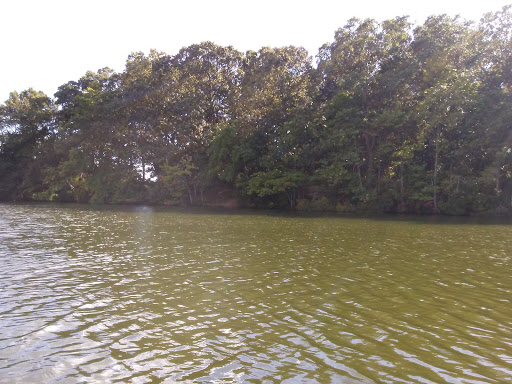 Golf Club «Cape May National Golf Club», reviews and photos, 834 Florence Avenue, Cape May, NJ 08204, USA