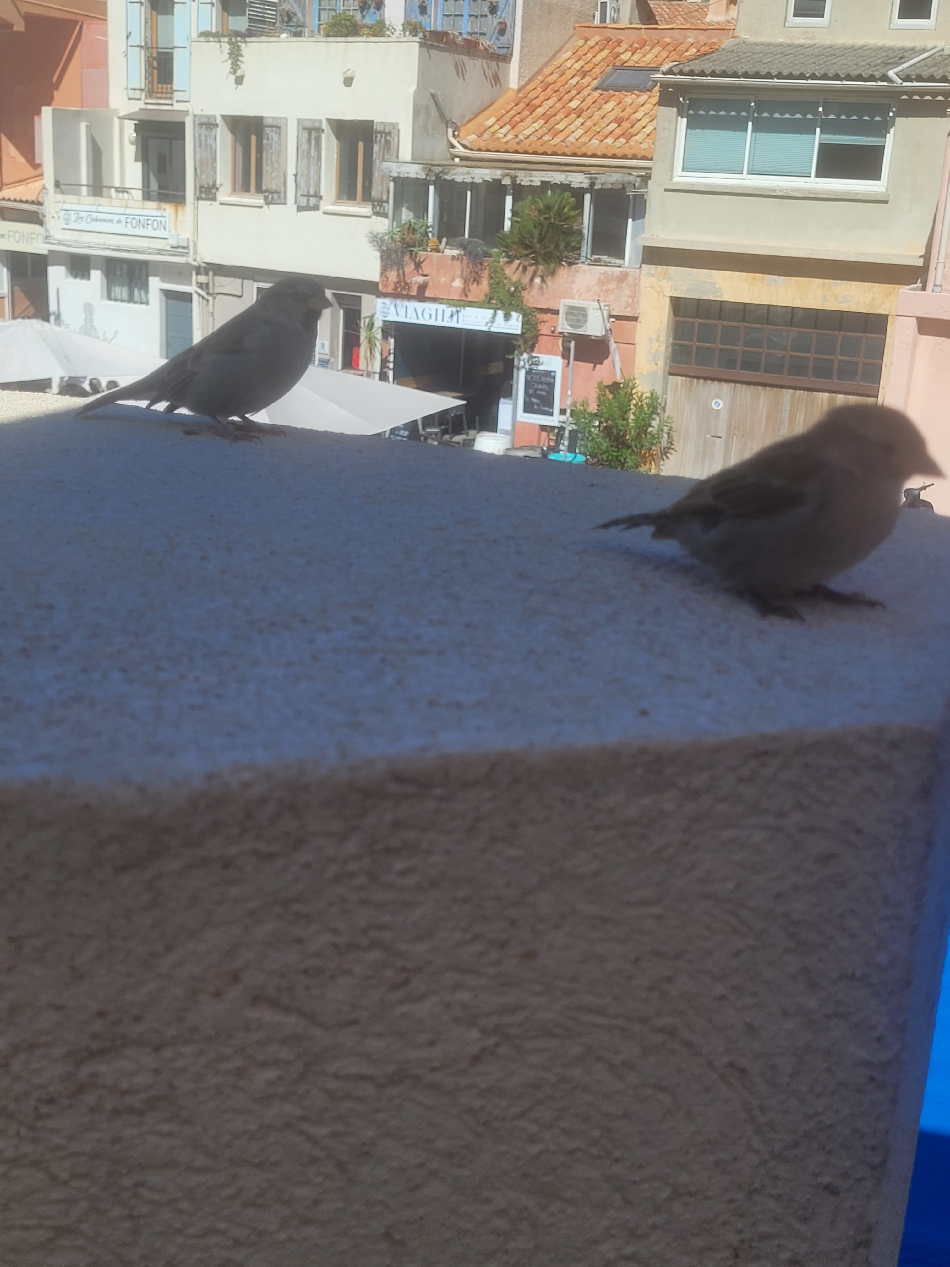 Photo n° 3 de l'avis de Angeantho.� fait le 24/09/2023 à 14:29