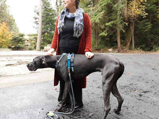 Golf Club «Meadowmeer Golf & Country Club», reviews and photos, 8530 Renny Ln NE, Bainbridge Island, WA 98110, USA