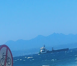 Ocean Safari photo