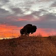 “Guardian of the Plains” Buffalo Sculpture