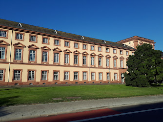 Abteilung Rechtswissenschaft, Universität Mannheim