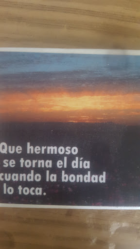 Pet Supply Store «Chutas Feed & Pet Supplies», reviews and photos, 3909 S Chester Ave, Bakersfield, CA 93307, USA