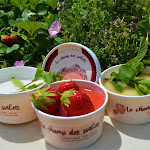 Photo n° 2 de l'avis de OlSc.a fait le 04/08/2022 à 13:23 pour Le champ des Sorbets à Saint-Jean-de-Fos