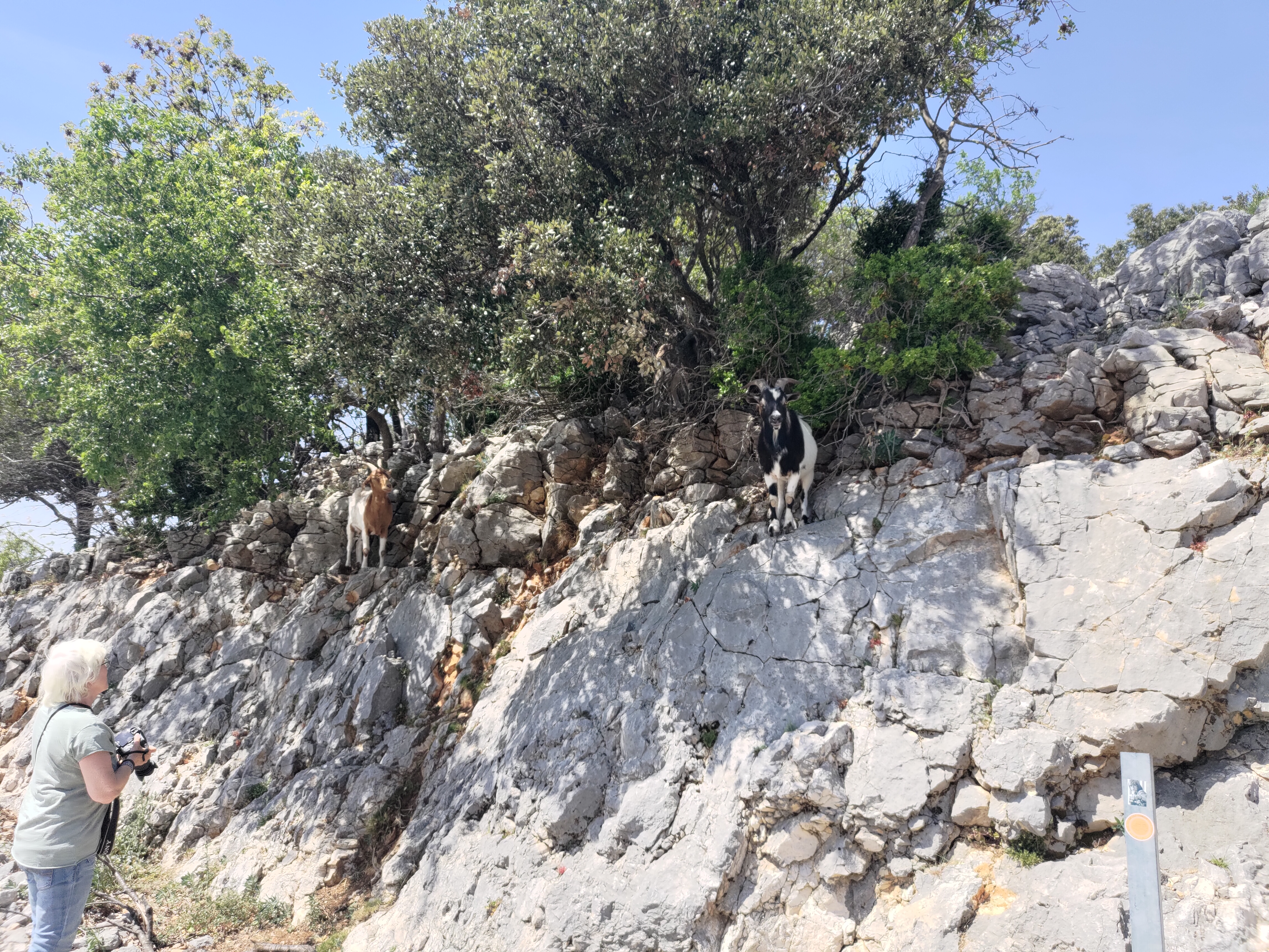 Photo n° 9 de l'avis de Elodie.r fait le 26/05/2023 à 06:25