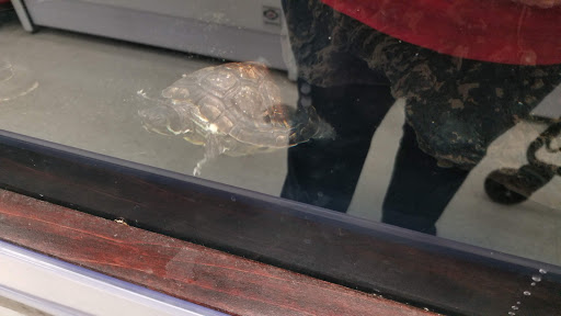 Pet Supply Store «Petco Animal Supplies», reviews and photos, 597 Hebron Rd #2, Heath, OH 43056, USA