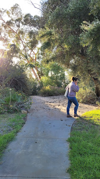 Upper Las Virgenes Ranch - Photo 4 - Car repair in Calabasas, CA, Thousand Oaks