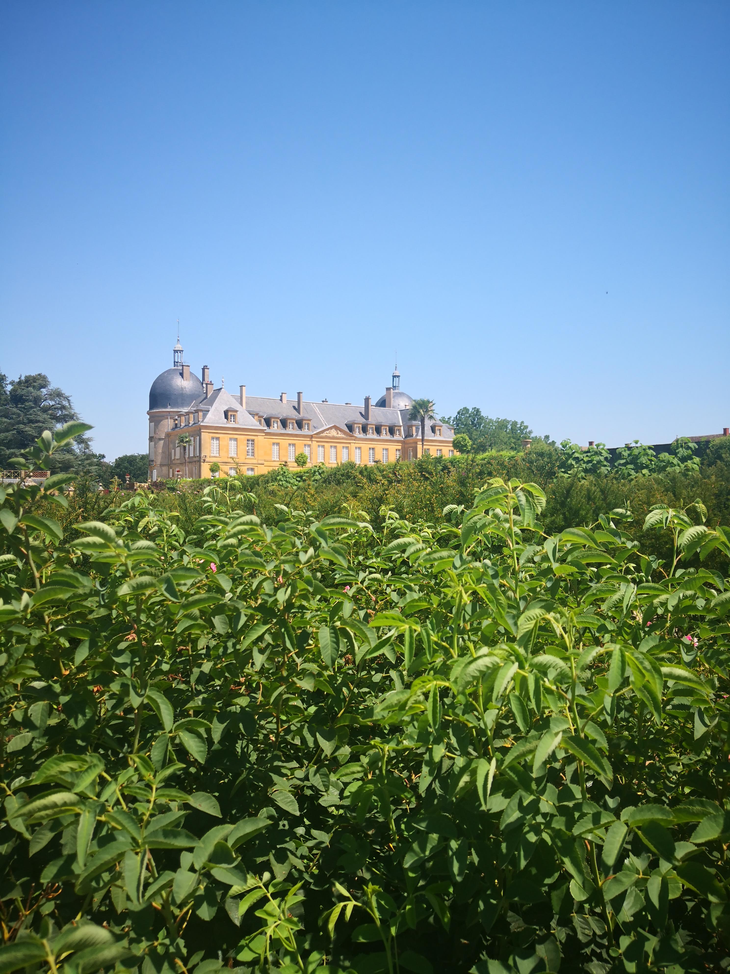 Photo n° 3 de l'avis de Elisabete.c fait le 20/07/2022 à 15:56