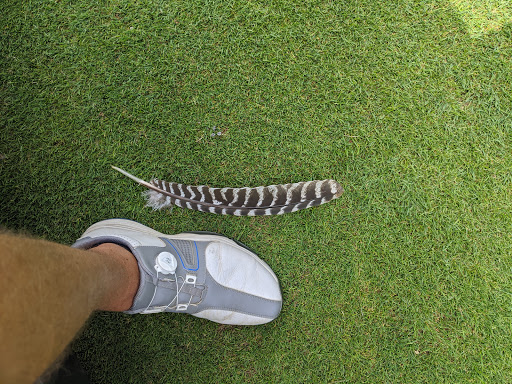 Golf Course «Stonehedge Golf Club», reviews and photos, 15530 M-89, Augusta, MI 49012, USA