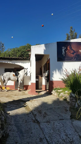Valença Equestrian Tours - Vila Franca de Xira