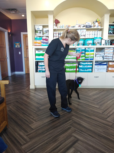 Levy, Jill - DVM image