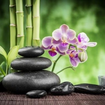 Orchid Thai Massage - Komárom