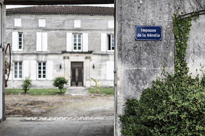 Cognac Pierre de Segonzac à Segonzac
