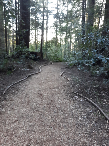 Nature Preserve «LandPaths Grove of Old Trees», reviews and photos, 17599 Fitzpatrick Ln, Occidental, CA 95465, USA