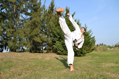 Taekwondo ITF Maestro Maximiliano Petronella Asociacion Yusan