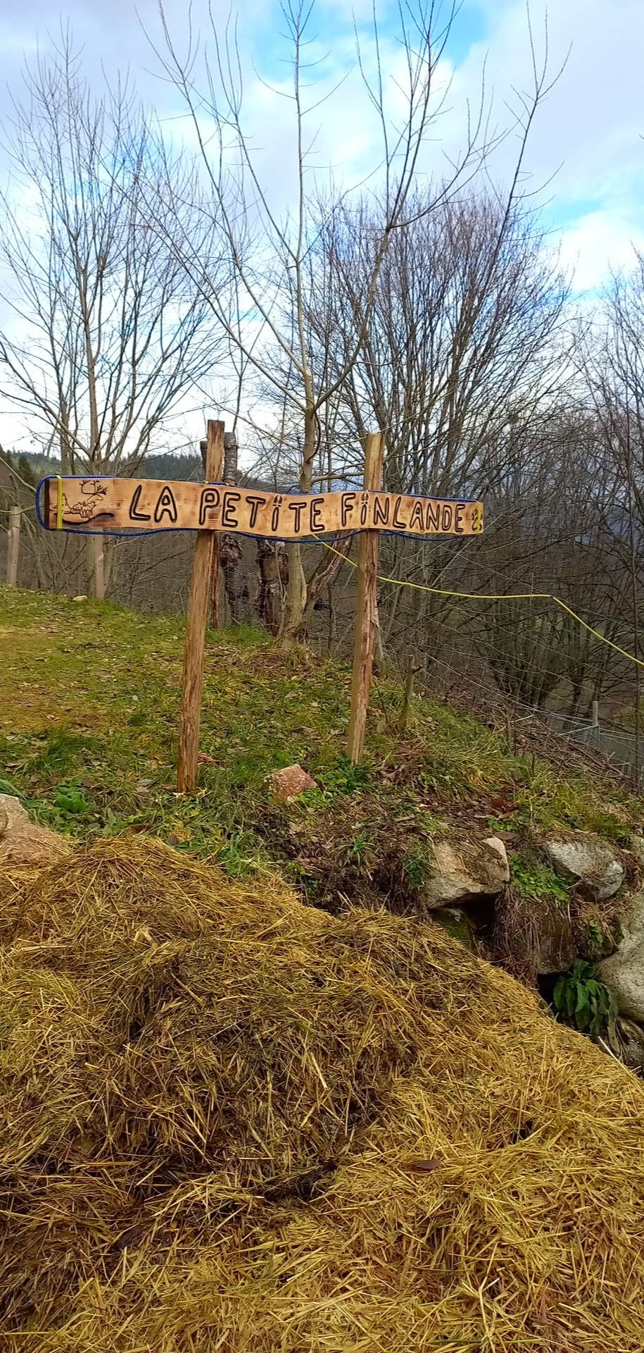 Photo n° 8 de l'avis de Djamylive.h fait le 07/12/2023 à 07:25