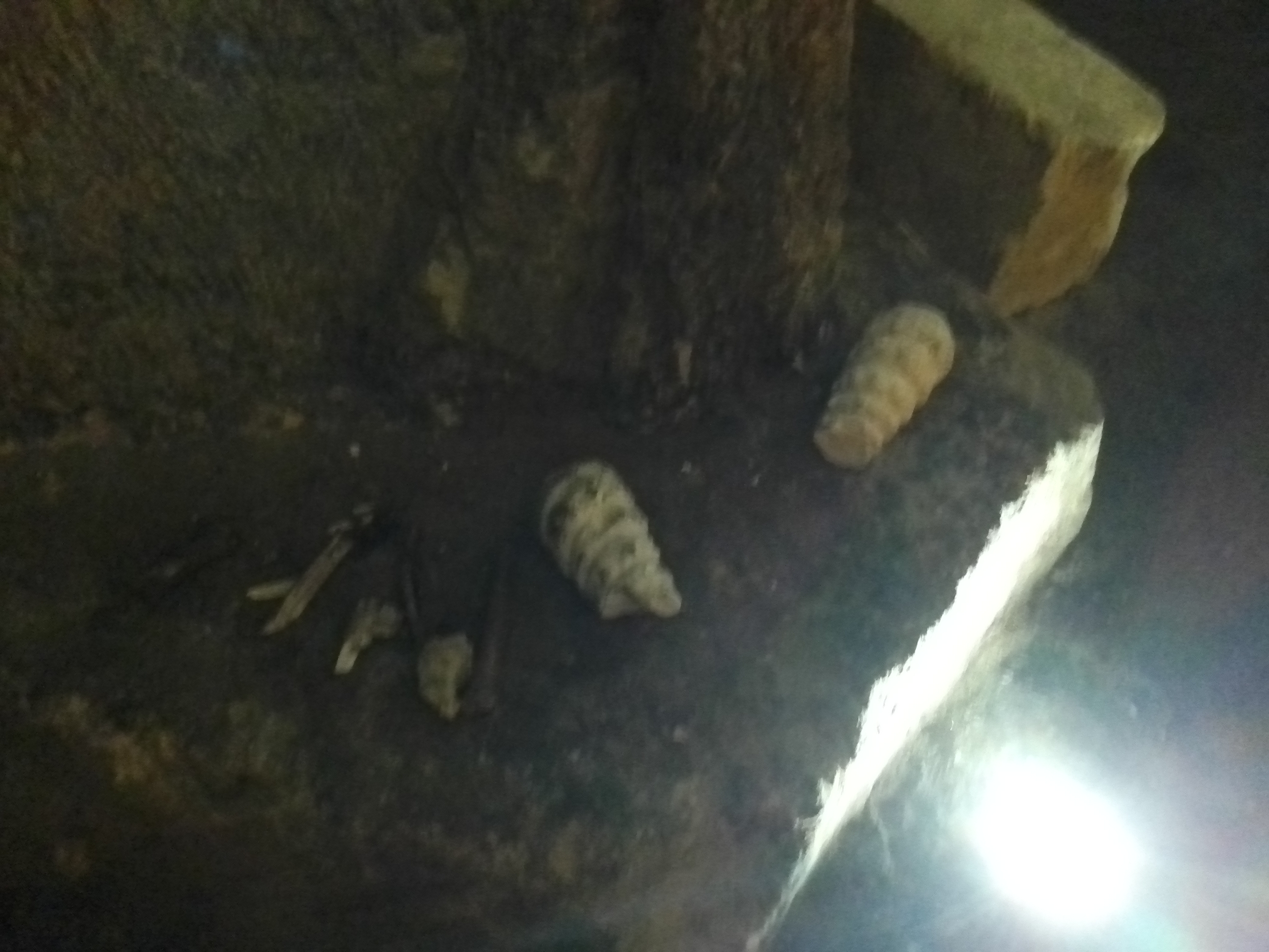 Photo n° 6 de l'avis de Prisc. fait le 16/08/2022 à 18:31