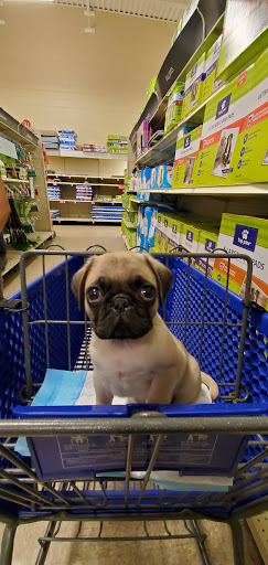 Pet Supply Store «PetSmart», reviews and photos, 1275 N Military Hwy, Norfolk, VA 23502, USA