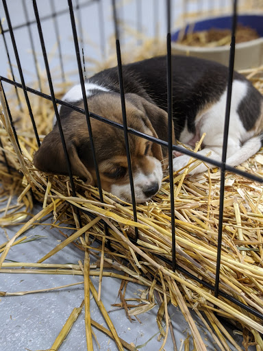 Pet Store «Teske Pet & Garden», reviews and photos, 2423 16th St, Moline, IL 61265, USA