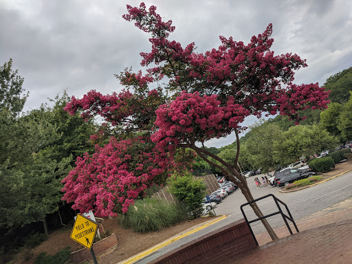 Tourist Attraction «Vickery Creek Falls Roswell Mill», reviews and photos, 95 Mill St, Roswell, GA 30075, USA