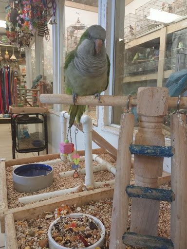 Pet Store «Fosters Exotic Pet Center», reviews and photos, 40116 US Hwy 19 N, Tarpon Springs, FL 34689, USA