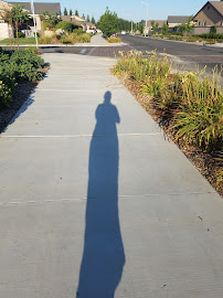 Daniel's Landscaping and Pools - Photo 3 - Car repair in Visalia, CA, Visalia