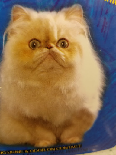 Pet Supply Store «Pet Supplies Plus», reviews and photos, 61 Irving Park Rd, Streamwood, IL 60107, USA