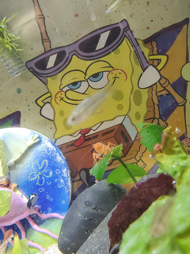 Pet Store «Windy City Pet Store», reviews and photos, 1660 N 4th St m, Laramie, WY 82072, USA