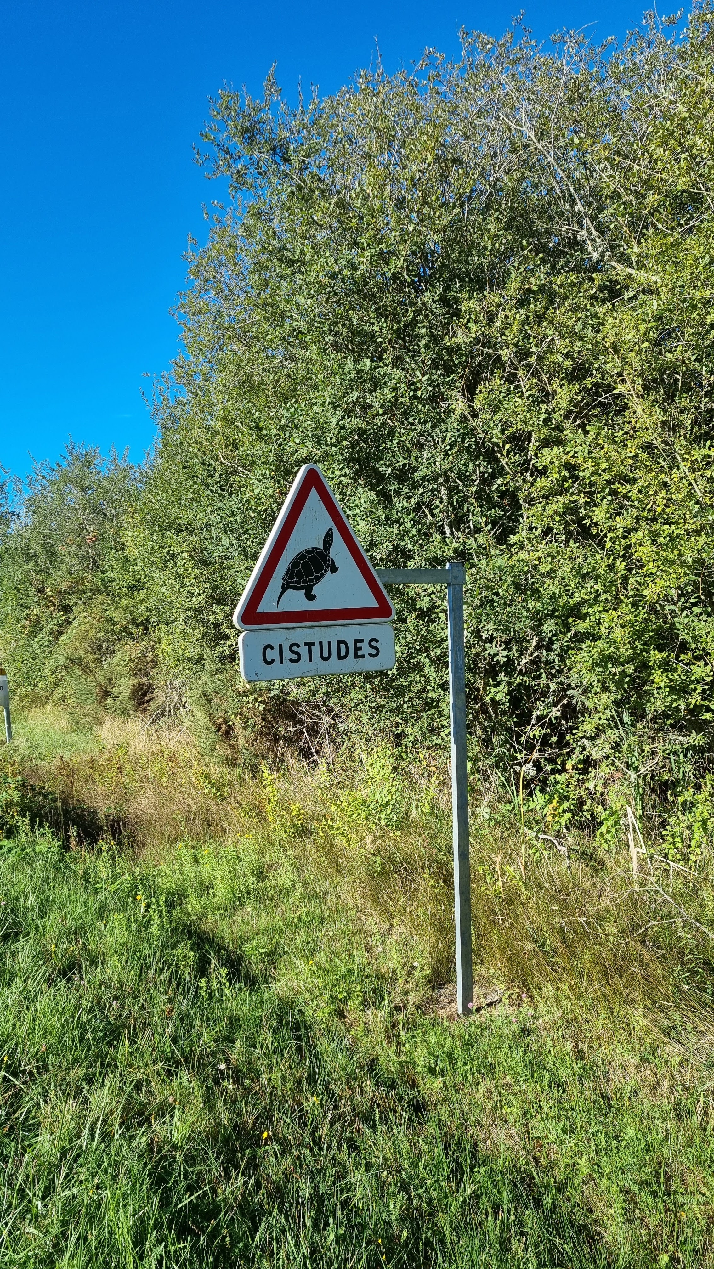Photo n° 2 de l'avis de Carine.u fait le 14/09/2022 à 10:26