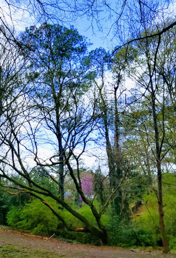 Park «Frankie Allen Park», reviews and photos, 100 Bagley St NE, Atlanta, GA 30305, USA