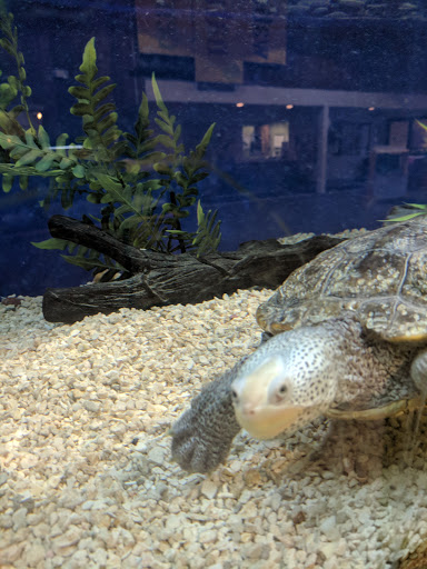 Park «Watkins Regional Park», reviews and photos, 301 Watkins Park Dr, Upper Marlboro, MD 20774, USA