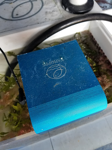 Aquarium Shop «Sea Creature Aquarium», reviews and photos, 1455 Mineral Spring Ave, North Providence, RI 02904, USA