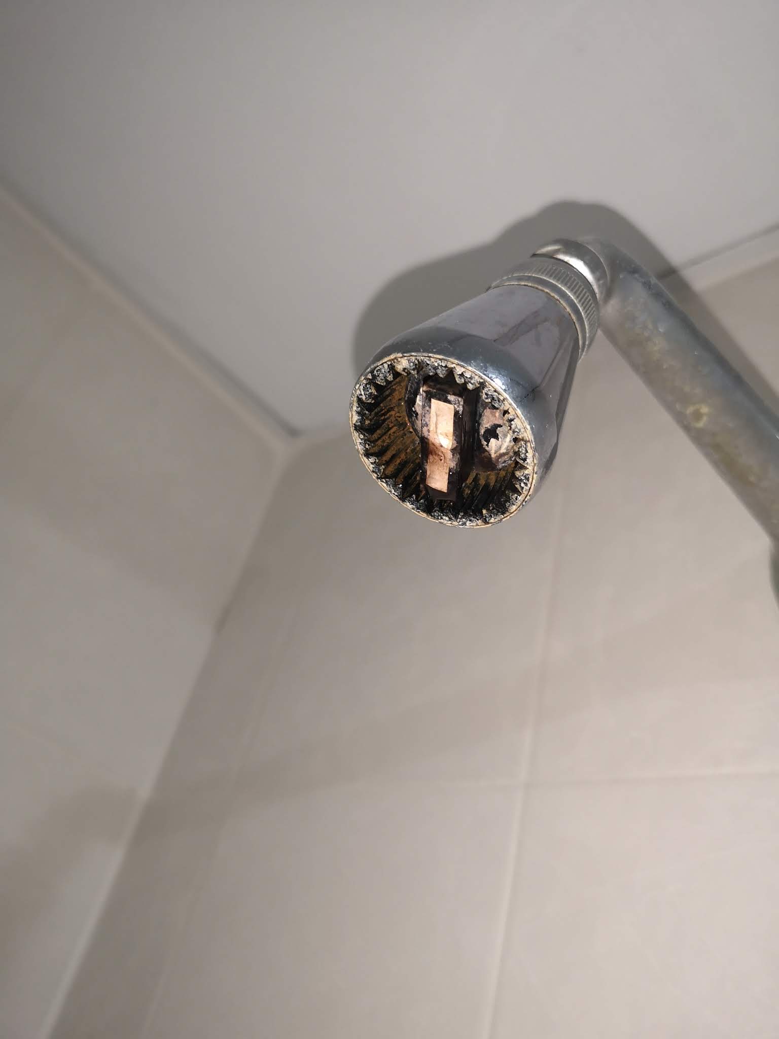 Photo n° 2 de l'avis de marie.e fait le 27/03/2019 à 09:47