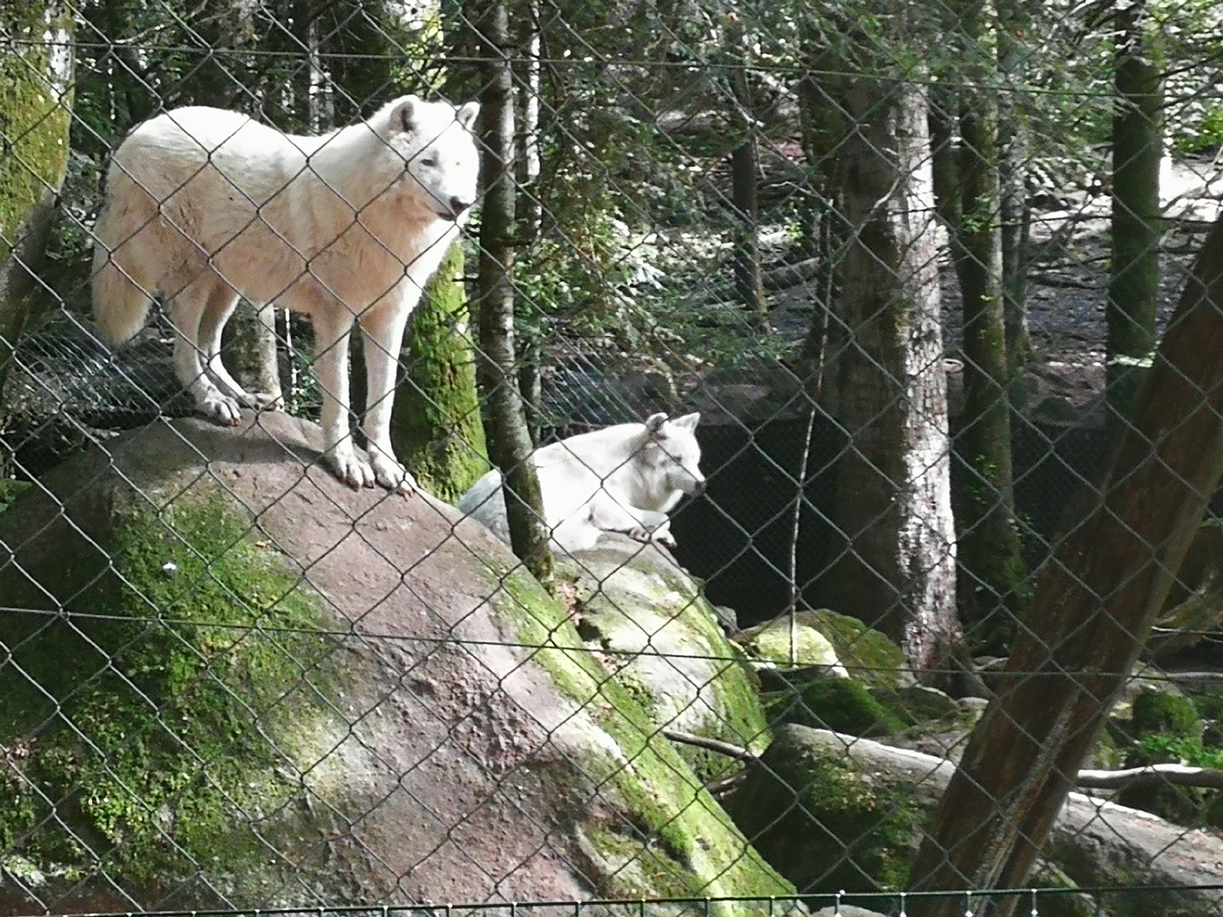 Photo n° 1 de l'avis de virginie.e fait le 30/08/2020 à 23:00