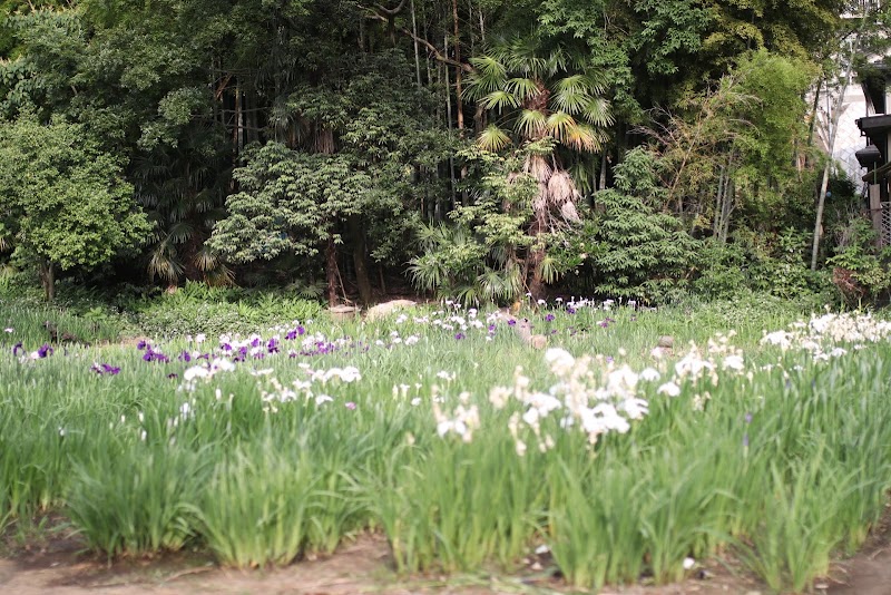 桜町湧水公園