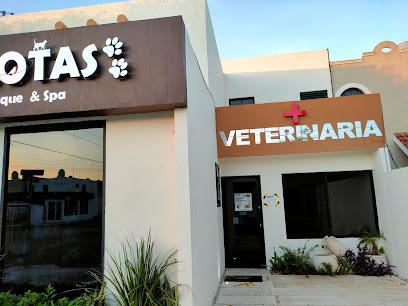 Clinica Veterinaria Mascotas boutique & spa