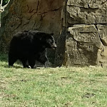 Photo n° 21 de l'avis de Élodie.e fait le 09/06/2024 à 14:09 pour Planète Sauvage à Port-Saint-Père