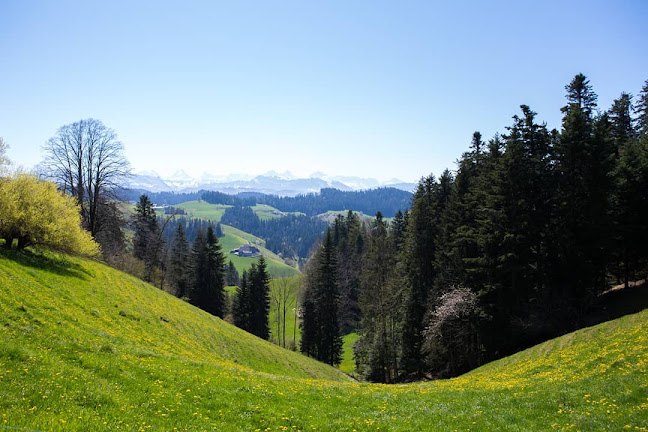 Rezensionen über SimplyYou Photography in Aarau - Fotograf