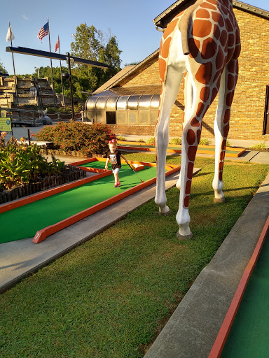 Amusement Center «Putt-Putt Golf & Games», reviews and photos, 164 West End Ave, Knoxville, TN 37934, USA