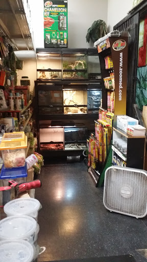 Reptile Store «Paramount Pet Entertainment - Reptile Parties & more!», reviews and photos, 8055 Rosecrans Ave #107, Paramount, CA 90723, USA